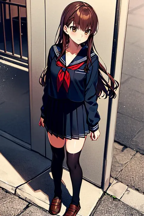 masterpiece, 
solo, front view, 
1girl, standing, looking_at_viewer, 
<lora:hakunon_v2:1>, hakunon, kishinami hakuno \(female\), brown hair, (brown eyes:1.4), long hair, straight_hair, bangs, hime cut, school uniform, serafuku, black serafuku, long sleeves, black sailor collar, sailor collar, red neckerchief, neckerchief, black skirt, skirt, pleated_skirt, miniskirt, black thighhighs, thighhighs, socks, shoes, brown footwear, loafers,