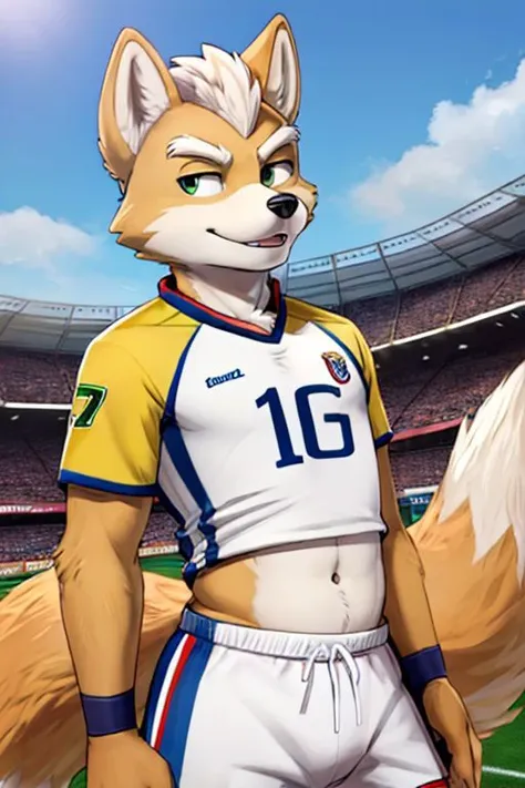 Furry Fox McCloud, soccer jersey, navel