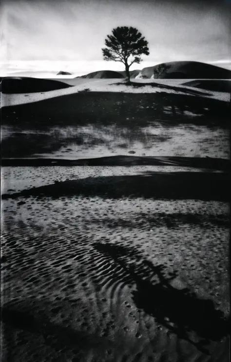 8k, RAW photo, portrait, best quality, ultra high res, photorealistic, extremely detailed natural lighting, (masterpiece, high quality:1.4), realistic, ((mezzotint:1.4)), ((monochrome, black and white)), nsfw, <lora:mezzotint_v1-09:1>, <lora:epiNoiseoffset_v2:0.8>, (a lonely tree standing at a greenland)