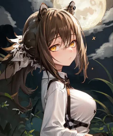masterpiece, best quality, <lora:Robin768V1:0.7>, 1girl, robin \(arknights\), raccoon ears, raccoon girl, brown hair, hair between eyes, long hair, ponytail, yellow eyes, breasts, white collared shirt, polka dot shirt, cross tie, long sleeves, portrait, close-up, face, from side, night, stars, moon