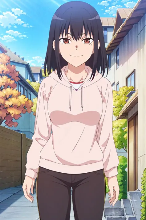 (exceptional, best aesthetic, new, newest, best quality, masterpiece, extremely detailed), Anetoro, 1girl, mole under eye, solo, mole, hoodie, brown eyes,black hair, ((perfect female body))short hair,evil smile, looking at viewer, sweater, pants,city street, sunny, clouds,<lora:Anetoro_V1:0.7>