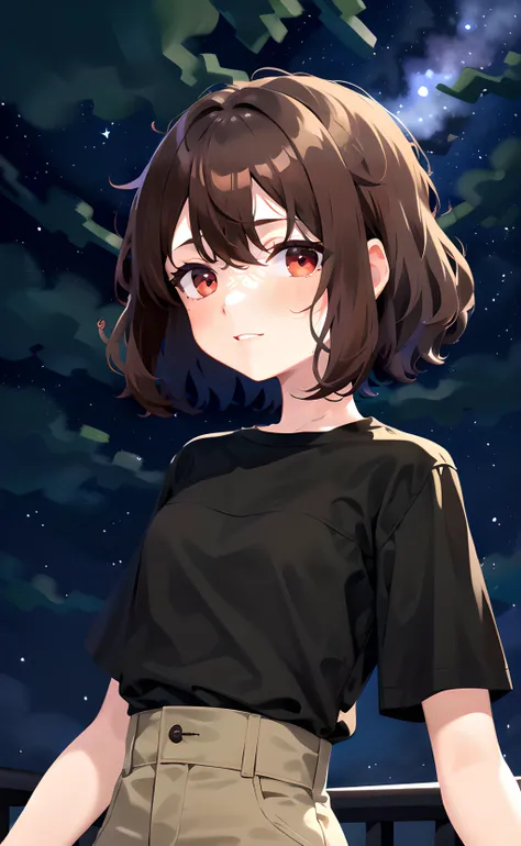 1girl, flat color, upper body, short hair, brown hair, red eyes, black shirt, T-shirt, short sleeves, night, night sky <lora:VECTORV1-TRIM:1>