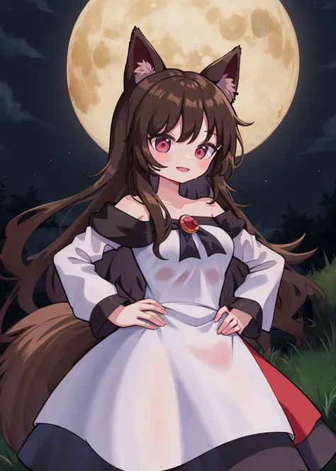 imaizumi kagerou, multicolored dress, brown hair, wolf ears, 1girl, breasts, brooch, collarbone, flower, long sleeves, looking at viewer, medium breasts, off shoulder, red eyes, solo, wolf tail, smile, hands on hips
BREAK
forest, rain, darkness, moon, wet clothes, deserted spaces, detailed background, post-apocalypse, night, 
<lora:dusty_dream_v1-000015-32rank:unet=1:te=0> <lora:kagerou_locon_v2-000015:1>