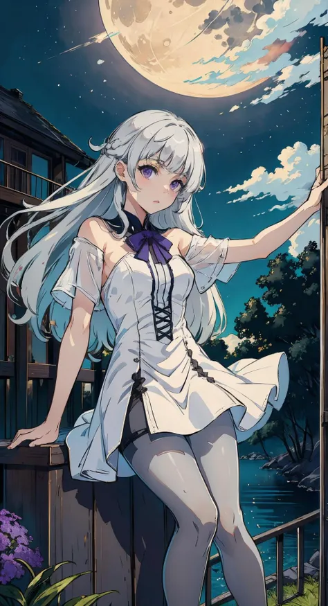 masterpiece, best quality, 1girl, full body,white hair,long hair,purple eyes, slim body,slim legs,playing violin,white dress,night,moon,shootig star,cloud,lakeshore,
((40d grey pantyhose)),grey pantyhose,pantyhose,
<lora:40d_grey_pantyhose-001:0.8>