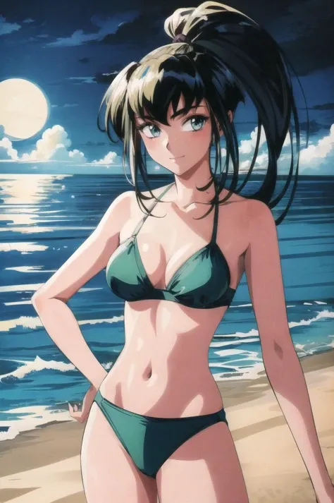 A beautiful and elegant female with long black hair, wearing a stylish bikini, standing on a beach at sunset with the sun setting over the ocean, in the style of Tsukasa Hojo's anime art, highly detailed, anime art,