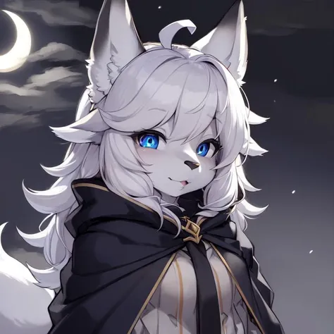 (fluffy anthro furry:1.3), 1girl, solo, furry wolf, wolf ears, kemono, (closed mouth, cloak:0.9), crescent moon, moonlight, hair ribbon, ahoge, two-tone hair, (atmospheric perspective, amazing background, night, cloudy sky, snow, snowing, glacier:0.8), (multicolored hair, blue eyes:1.3), <hypernet:Furry_Kemono:0.75> <lora:Kikurage_Full:0.55>