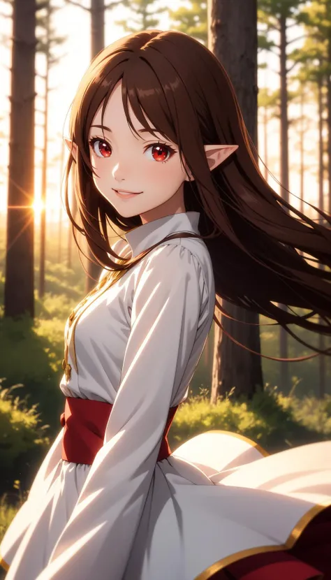 masterpiece,best quality,solo,anime screencap,
long hair,brown hair,red eyes,dress,pointy ears,light smile,
depth of field,blurry background,forest,portrait,wind,sunset,good hands,thin,long sleeves,