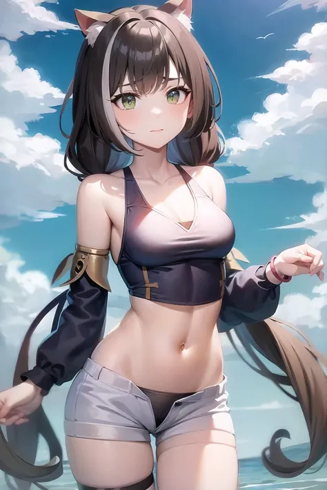 best quality, masterpiece, (solo:1.2), (1 woman:1.2)、25 years old、bigger breasts、(slim body)、(Stick your chest out)、(thighs)、(side)、navel、(dynamic)、(see -through clothing:1.2)、sleeveless top、off shoulder top、bright colored shorts、(White highlights in the pupils:1.2)、red brown eyes、(black hair:1.2)、(long hair)、(View viewers:1.2)、White skin、(blush)、(Lively expression)、(Blur the background a lot to make the woman stand out...:1.3)、(Semi backlight)、(Abstract style background)、Background that gives wind and momentum、(blue sky)、cumulonimbus