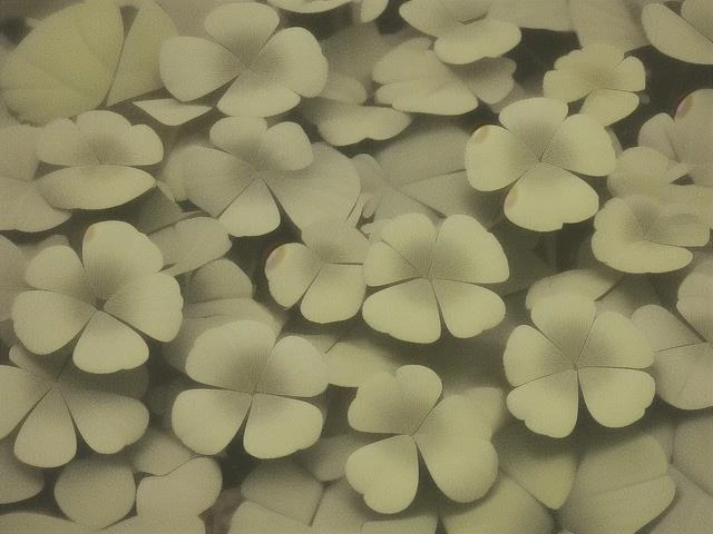 (masterpiece), (best quality), (extremely detailed), (no humans), (wallpaper collection), inside clover meadow, original, extremely detailed wallpaper, (parfect detail features), 16k, <lora:Clover Landscape:1>, clover field,