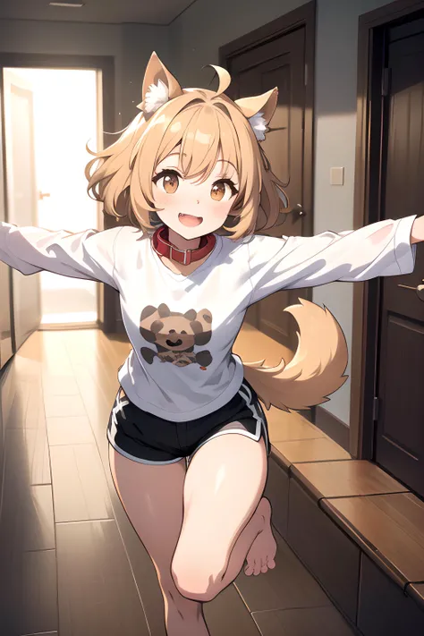 (masterpiece, best quality, highres), solo, dog girl, dog ears, dog tail, petite, toned, short messy hair, oversized shirt, short shorts, hallway, running towards viewer, happy, open mouth, smile, tail wagging, animal collar, outstretched arms, motion lines, emphasis lines, barefoot, cowboy shot,