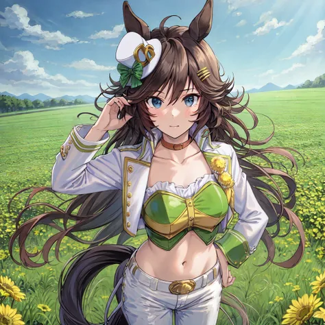 ((masterpiece, best quality)),1girl,horse ears, standing, field,