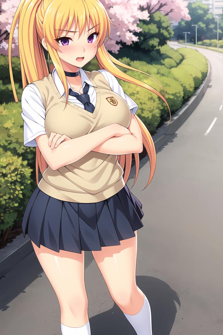 Mamiya Natsuki/Kyonyuu Kazoku Saimin v1.0