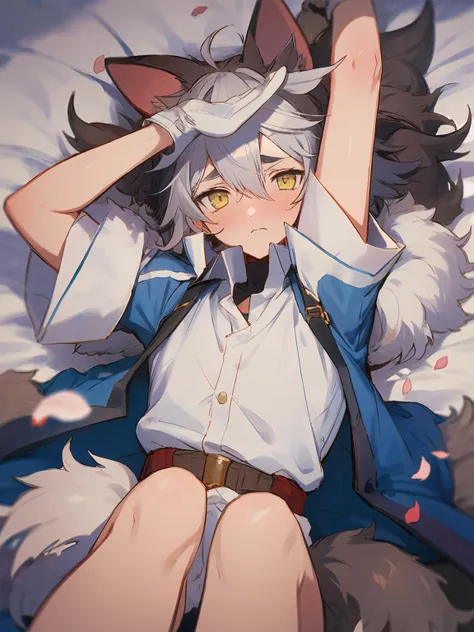 masterpiece,best quality,highres,cinematic lighting,dramatic angle,<lora:ShadowverseItsurugiV4-000018:0.8> ,1boy,matured,multicolored hair,serious,petals,animal ears,fur-trimmed,tail,yellow eyes,looking at viewer,on bed,lying,on back,embarrassed,blush,white shirt,collared shirt,blue jacket,short sleeves,gloves,arms up,close-up