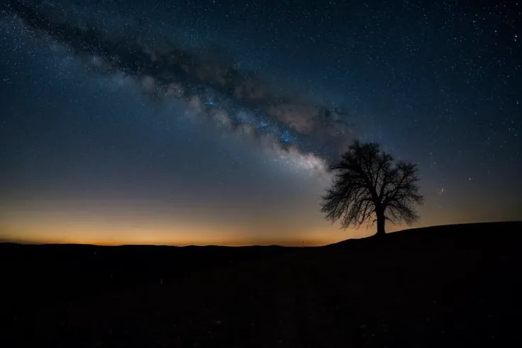 realistic, hyperrealistic, lone tree, night, stars, dark