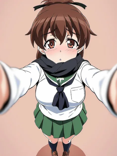1girl, solo, koyama yuzu, girls und panzer, school uniform, green skirt, white shirt, black neckerchief, socks, loafers
standing, simple background, white background
masterpiece, best quality
<lora:Ani_koyamayuzu_1t:0.7>
<lora:xl_pov_cheek_warming_(meme):1> scarf,looking at viewer,blush,winter clothes,coat,blurry,pov