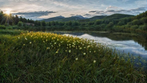 CINEMATIC SHOT, professional photo by Caravaggio of wild nature, Russia, summer, flowers, woods, hill, lake, water lilies, grass, birches, sunshine, dramatic clouds, rule of thirds, view from surface, mountains in background, (by Christopher Nolan:1.4),F11,(DOF, Cinematic Color grading, intricate, hyper realistic, detailed, flickr, cinematic lighting) <lora:Wild_nature_XL:1>