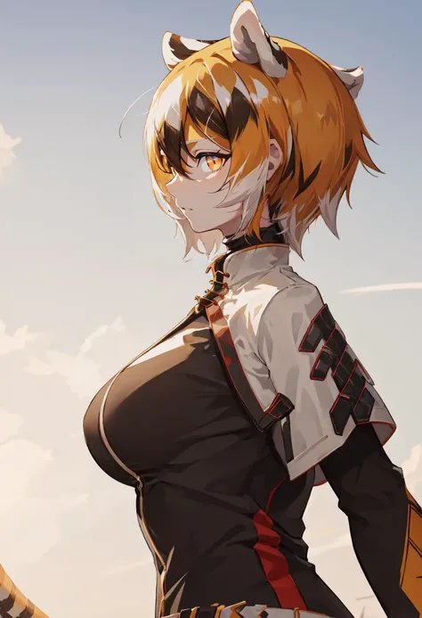 (safe:1.10), best quality, masterpiece, highres, solo, (waai_fu_arknights:1.10), profile, from side, upper body, 18 <lora:waai_fu_arknights:0.80>