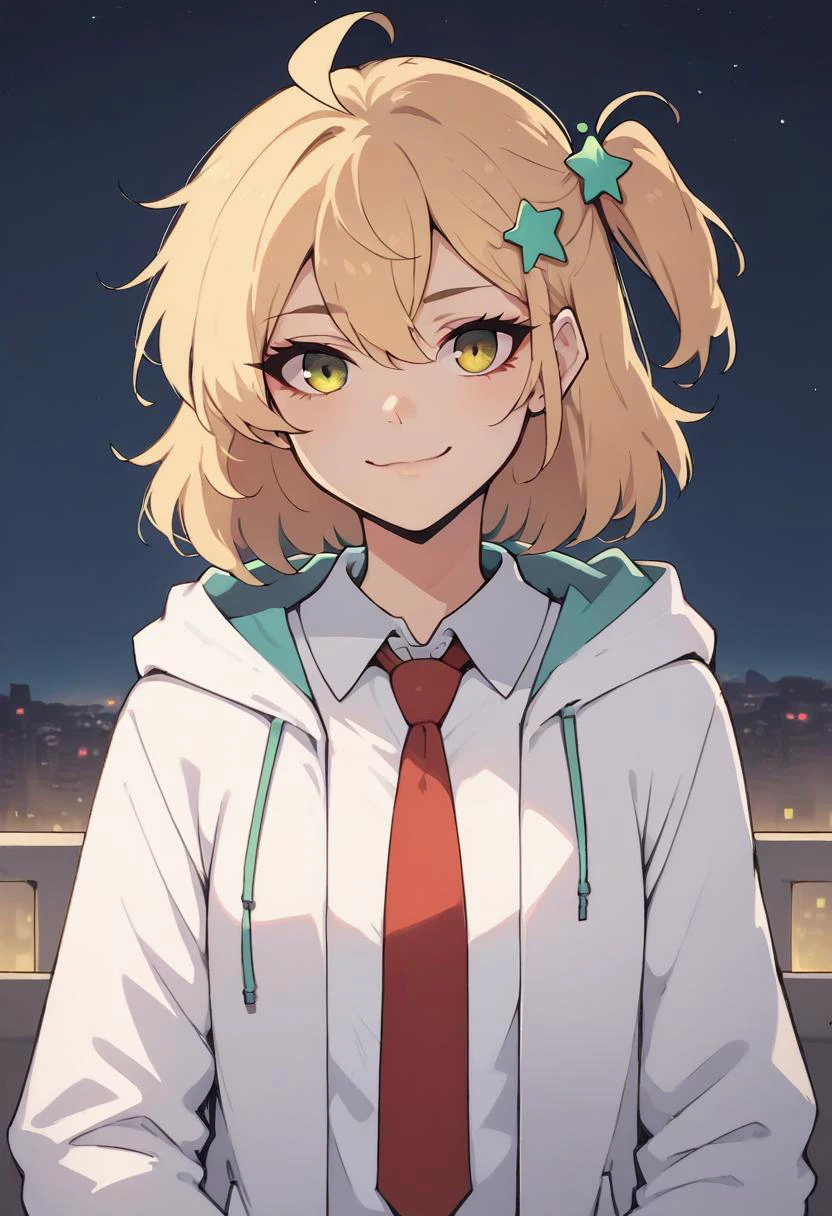score_8_up,
1girl, solo, hair ornament, ahoge, looking at viewer, green eyes, necktie, hood, smile, shirt, jacket, outdoors, upper body, red necktie, bangs, one side up, hood down, night, collared shirt, short hair, closed mouth, open clothes, white shirt, white jacket, sky, hooded jacket, vest, city lights, bag, hair between eyes, open jacket, blonde hair, yellow eyes, star (symbol), hooded coat, city, medium hair,
<lora:NoctFlatStyleV2-pony:1>