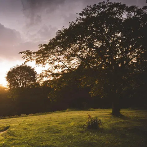 textless, ChristainBale standing in the English Countryside