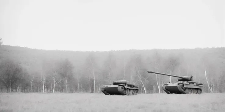 panther tank on a fields with trees,
<lora:Panther_Tank-000010:0.8>