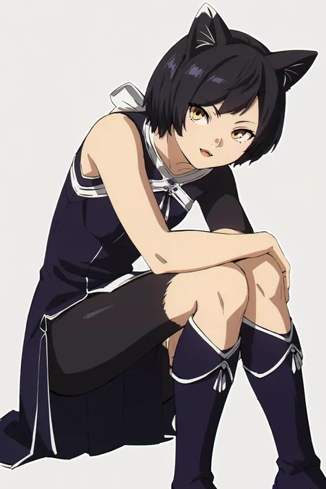 IzutsumiER, 1girl, cat ears, black hair, short hair, cat girl, yellow eyes, fur, <lora:Izutsumi_Dungeon_Meshi:1>yellow eyes, black hair, short hair,black and white fur, <lora:SousouNoFrieren_LaufenXL:1>,china dress,purple dress,sleeveless,halterneck,bridal gauntlets,knee boots,purple footwear, Score_9, Score_8_up, Score_7_up, Score_6_up, Score_5_up, Score_4_up, BREAK,1girl in full growth, best quality, masterpiece, ultra-detailed, high quality,good quality,1 girl,(master piece,high resolution, ultra detailed,8K,16K),look at viewer