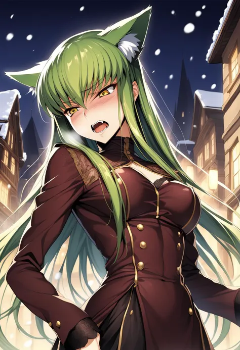 1girl, cc, Code Geass, masterpiece, best quality, aesthetic, early, mid, (green hair), yellow eyes, (medium breasts), close up shot, fangs, wolf ears, <lora:SDXL_LORA_CHARACTER_CC_V1:0.8>, confident, luxurious 19th century European dress, in 19th century European city, embarassed face, cumming face, nsfw, orgasm squrting, winter, snowing,