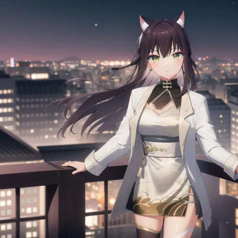 [high quality, best quality], 1girl, solo, yunpei <lora:yunpei:0.75>, white_jacket, chinese_clothes, single_thighhigh, rooftop, cityscape, night, bokeh, depth of field