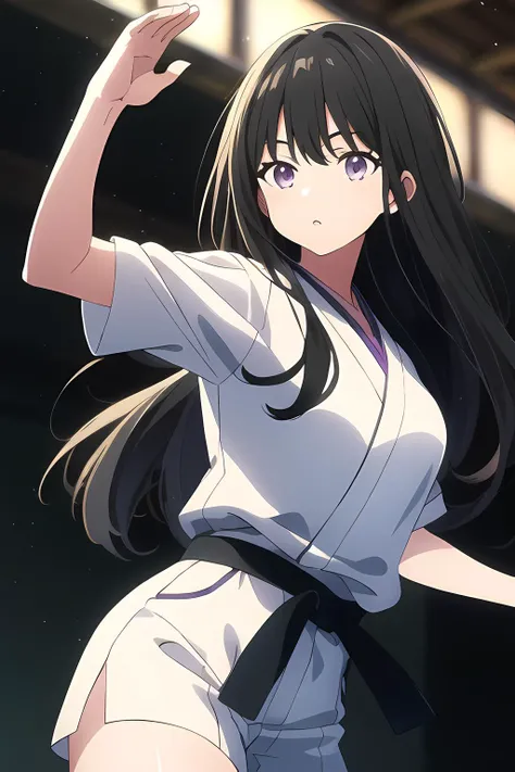 takina inoue, (ultra-detailed), 8K, ultra high res, (1girl), finely detailed beautiful eyes, black hair, breasts, small breasts, long hair, purple eyes, light on face, light on body, solo, slim body, slim thighs, ((masterpiece)), sunshine light, Dojo, (karate outfit), (doing karate), <lyco:takinaInoueLycoris_v08:0.7>