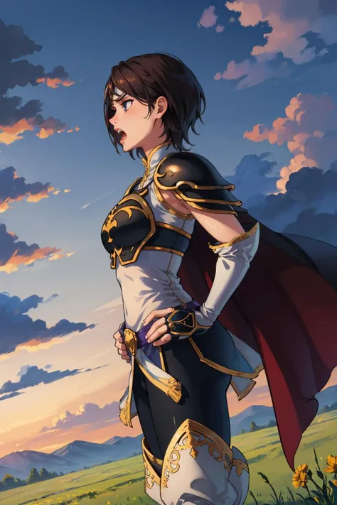 masterpiece, best quality, tanith, armor, circlet, purple cape, fingerless gloves, white dress, black leggings, thigh boots, furrowed brow, dutch angle, from side, hands to hips, yelling, sky, field, clouds <lora:tanith-nvwls-v1-000010:0.9>