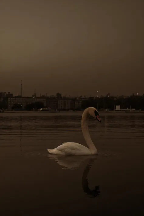epiCSepia, Swan, at Twilight, tilt shift, Cleancore, HDR, Mustafa Abdulhadi, involved in a project <lora:epiCSepia:1>