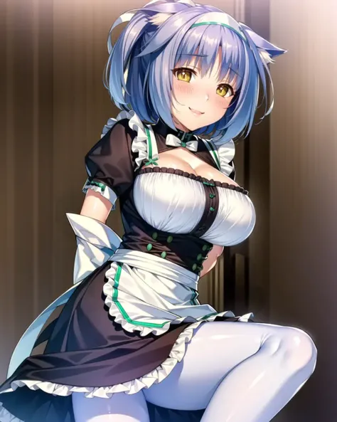 ((masterpiece)), ((best quality)), ((highres)), ((extremely detailed CG unity 8k wallpaper)), solo, <lora:cinnamon_neko:1>, nekopara outfit, white apron, blush, perverted, bathroom, white leggings, smile, cat pupils, slit pupils, cat eyes, purple tail