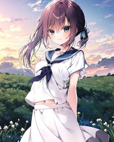 masterpiece, best quality, 1girl, solo, outdoors,blush, looking at viewer, smile,grass,bangs,sky, blue sky, cloud, medium breasts, hair between eyes, purple hair, blue eyes, arms behind back,white shirt, serafuku,white skirt,simple clothes, side ponytail,long hair,<lora:inkr:1>