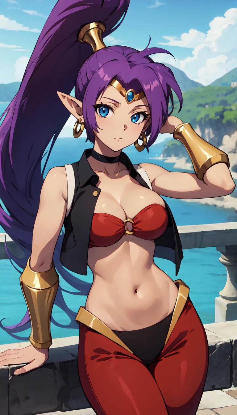 GAME_shantae_ownwaifu,www.ownwaifu.com,
long hair,purple hair,shantae,dark skin,breasts,very long hair,pointy ears,dark-skinned female,blue eyes,navel,ponytail,collarbone,large breasts,high ponytail,thick thighs,
jewelry,earrings,hoop earrings,pants,bracer,tiara,choker,cleavage,harem pants,bare shoulders,bandeau,o-ring,o-ring top,red pants,midriff,forehead jewel,vest,black choker,vambraces,circlet,
<lora:GAME_shantae_ownwaifu:0.9>,, 1girl, solo, looking at viewer,straight-on, upper body, official art, highres, scenery, (masterpiece:1.1), (best quality,:1.1), (high quality:1.1), (anime screencap:1.2),