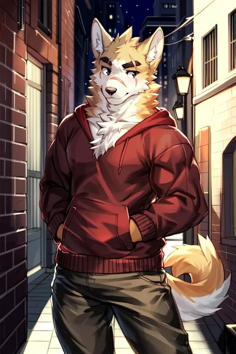 copperrtf,
masterpiece, best quality, absurd res, by kiyosan, by null-ghost,
furry, dog, male, muscular, solo, hoodie, pants, black pupils, black eyes, thick eyebrows, orange fur, brown fur, (scar on eye:0.9),
looking at viewer, detailed fur, fluffy, tail,
detailed background, alley,
<lora:cp1:1> <lora:add_detail:0.3>