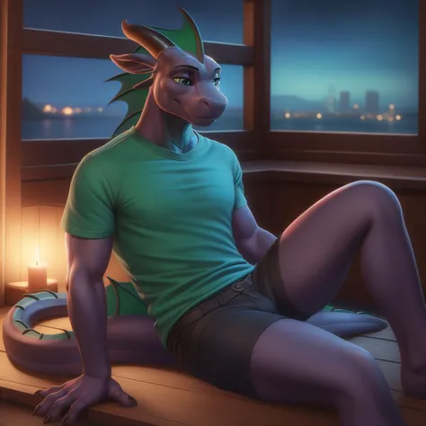 portrait, emmy, scalie, cyan eyes, green fins, scales, soft scales, wearing (t-shirt:1.2), loose shorts, sitting on the wood floor, relaxing, smile, night, cozy room, window, warm lighting, cityscape, by personalami, by tojo the thief, photorealistic, elegant, realistic, masterpiece, 4k, sharp focus <lora:Emmy_from_HeatVR:1>