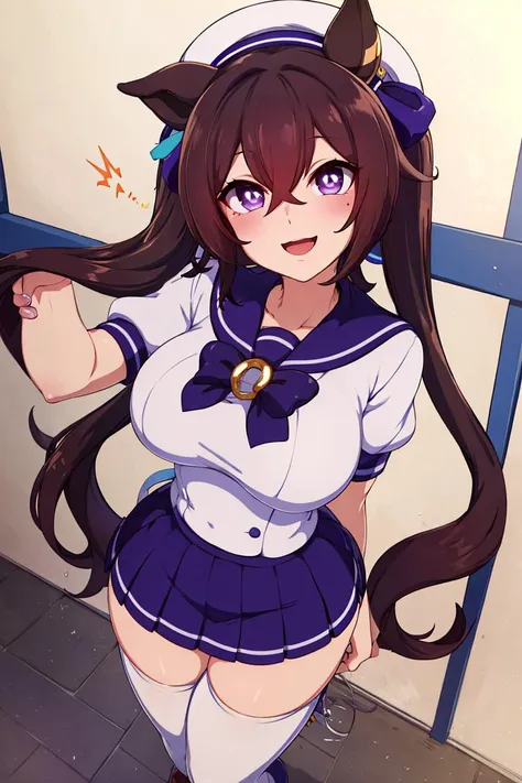 <lora:Merunyaa_Style_Dim32:0.8>, absurdres, highres, ultra detailed, smile,open mouth,standing, looking at viewer,tracen school uniform, summer uniform, serafuku, puffy short sleeves, bowtie, horseshoe ornament, sailor collar, sailor shirt, frills, white skirt, purple shirt, miniskirt, zettai ryouiki, white thighhighs, brown footwear, shoes,<lora:viblos_v1:0.65>,viblos \(umamusume\),twintails, brown hair, long hair, hat,large breasts, purple eyes, multicolored hair, ear ornament, hair ribbon,