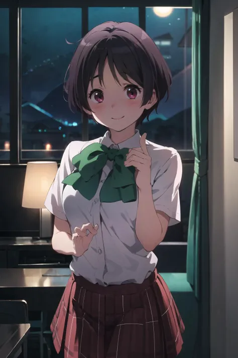 masterpiece, best quality, looking at viewer, facing viewer, nice hands, perfect hands, <lora:GoodHands-vanilla:1>, (night:1.3), low key, <lora:LowRA:0.7>, excited, happy, joyful, (blush), smile, wide windows, living room, 1girl, solo, <lora:kumin:0.8>, kumin tsuyuri, school uniform, short sleeves, plaid skirt, white shirt,