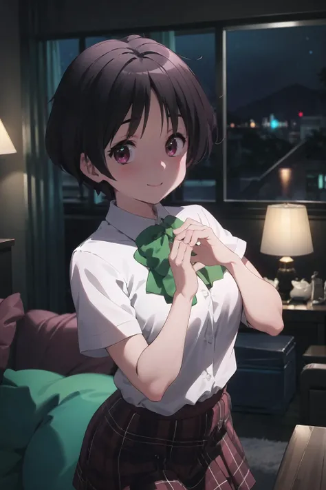 masterpiece, best quality, looking at viewer, facing viewer, nice hands, perfect hands, <lora:GoodHands-vanilla:1>, (night:1.3), low key, <lora:LowRA:0.7>, excited, happy, joyful, (blush), smile, wide windows, living room, 1girl, solo, <lora:kumin:0.8>, kumin tsuyuri, school uniform, short sleeves, plaid skirt, white shirt,