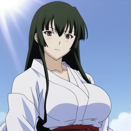 <lora:Aoyama_Tsuruko:0.45>, Aoyama_Tsuruko, big_breasts, miko, standing