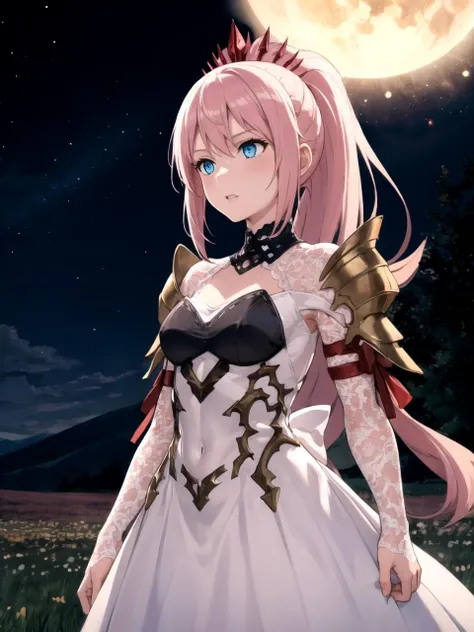 masterpiece, best quality, highres BREAK
dsshionne, pink hair, long hair, ponytail, hair ornament, blue eyes, white dress, armor, pauldrons, 1girl, solo BREAK
standing, outdoors, field, planets in the night sky, detailed background
<lora:dsshionne_lc:1>