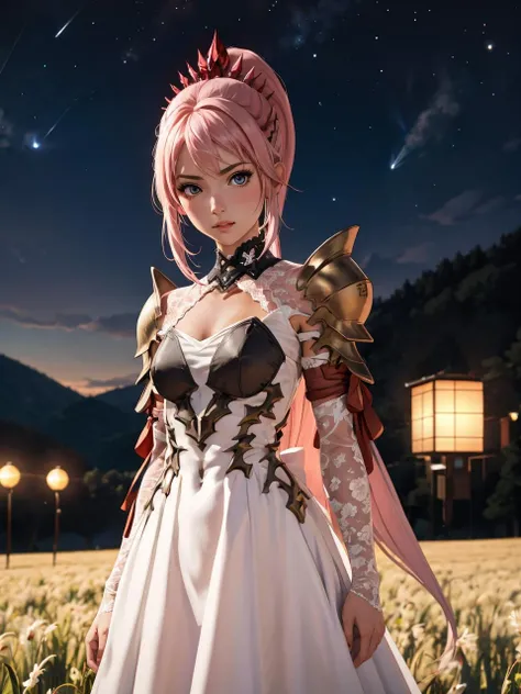 masterpiece, best quality, highres BREAK
dsshionne, pink hair, long hair, ponytail, hair ornament, white dress, armor, pauldrons, 1girl, solo BREAK
standing, outdoors, field, night sky, detailed background
<lora:dsshionne_lc:1>