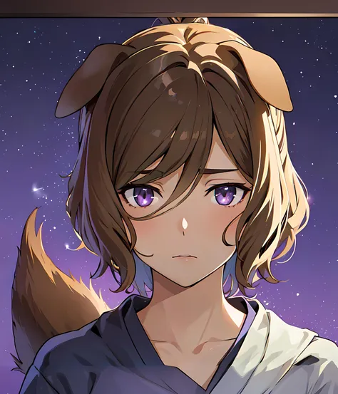 <lora:naazaerisuis13:0.7>, naaza erisuis, hair between eyes, dog ears, dog tail, dog girl, brown hair, purple eyes, wallpaper, upper body, 1girl, solo, night, night background, moon, stars, beautiful night, mature, wide shot, in frame, centered, ((masterpiece)), ((best quality)), [extremely detailed face], perfect lighting, ((in frame)),