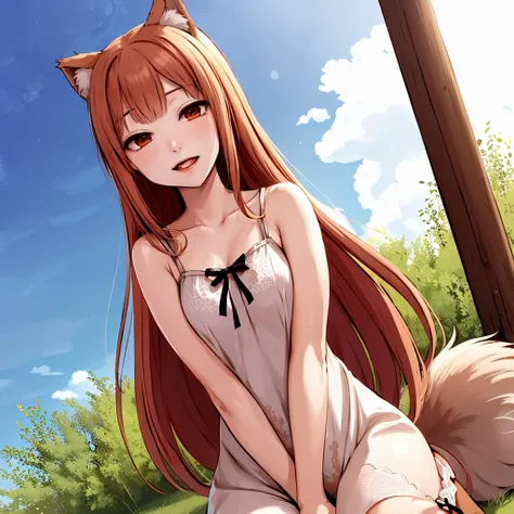 holo, wolf girl, auburn hair, small breasts, <lora:holov2:.9>, holov1, masterpiece