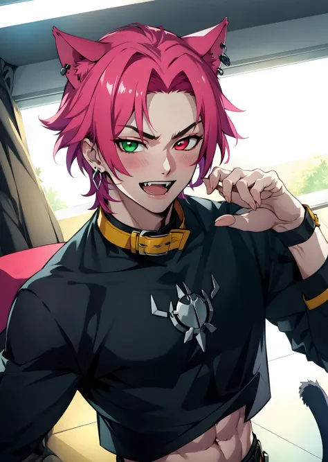 hskayn, solo, looking at viewer, smile, short hair, open mouth, animal ears, cat ears, claw pose, cat boy, shirt, red eyes, 1boy, jewelry, green eyes, jacket, upper body, pink hair, male focus, earrings, teeth, midriff, collar, crop top, black shirt, heterochromia, fangs, abs, from above,  indoors, blush
<lora:Heartsleet_Kayn2:0.7>,