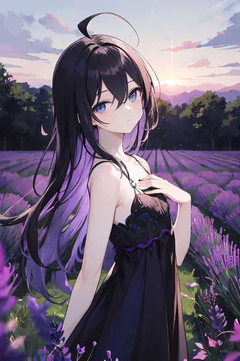 masterpiece, best quality, finely detailed, high resolution, extremely delicate and beautiful, 1girl, black hair with purple streaks, flat chest, absurdly long hair, ahoge, blue eyes, pale skin, expressionless, lavender field, black and purple summer dress, sunset, purple sky, head tilt, from side, looking at viewer, arms behind back, half-closed eyes, hair between eyes, hair over eyes, hand on own chest,  
