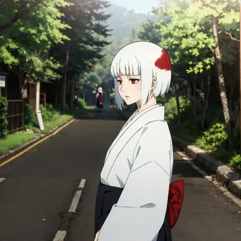 <lora:uraume002:0.7>,from side,
uraume,1girl,
white hair,multicolored hair,red hair,
kimono,haori,kesa,
nature,sunlight,