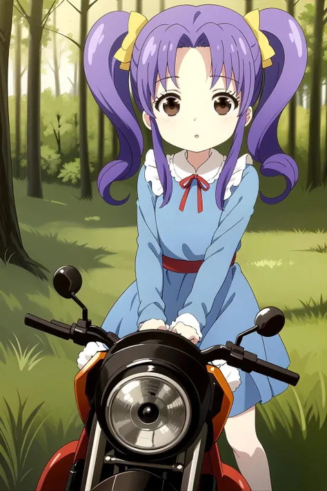 masterpiece, 1girl, okiku, minigirl, purple hair, brown eyes, dress, motorcycle, mounted, riding motorcycle, motion lines, emphasis lines, outside, forest, trees, woods