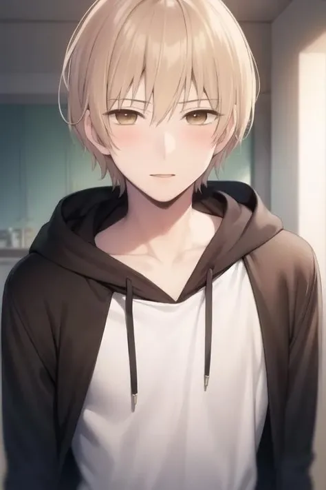 masterpiece, best quality, high quality, 1boy, solo, male focus, looking at viewer, upper body, <lora:mugi_awaya:0.66>, mugi_awaya, brown eyes, blonde hair, , hoodie
