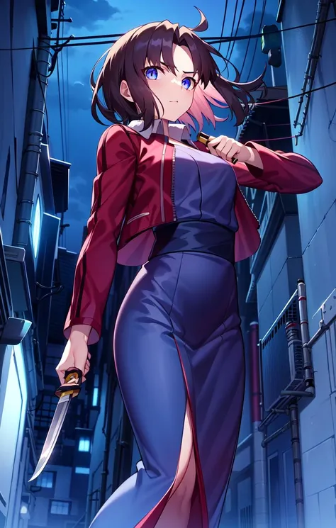 ShikiCasualCloth, SrAssassin, 1girl, solo, alley, building, holding, holding knife, knife, looking at viewer, night, outdoors, power lines, reverse grip, standing
<lora:ShikiV1:0.8>