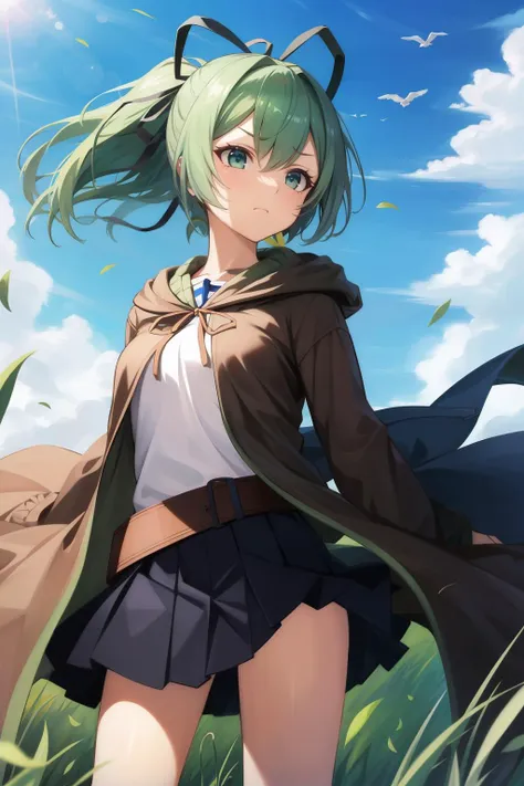 masterpiece, best quality, wynn, hair ribbon, brown robe, white shirt, belt, black skirt, cowboy shot, furrowed brow, wind, grass, sky <lora:wynn-nvwls-v1-000010:0.9>